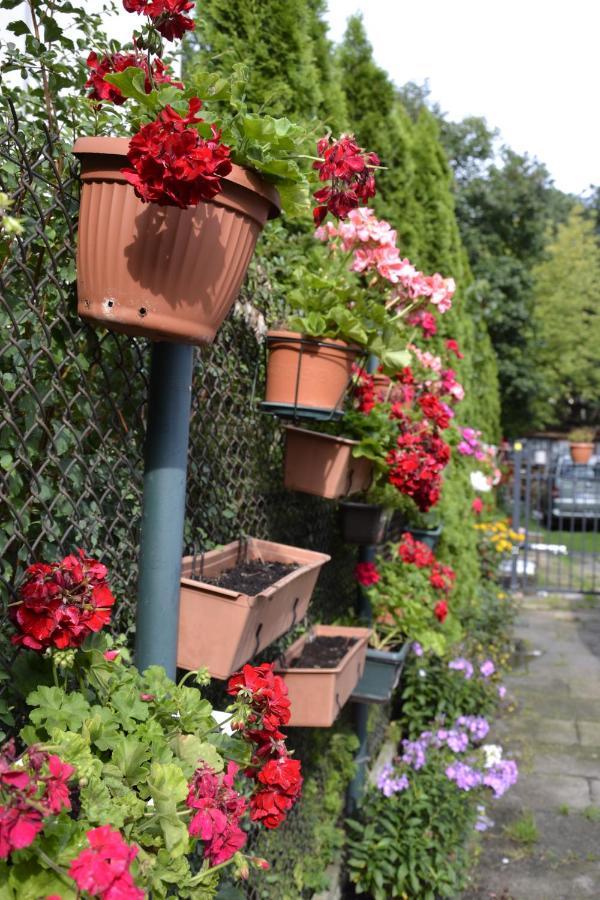 Warszawa Stare Bielany Bed & Breakfast Eksteriør bilde